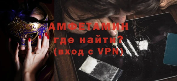 сатива Новодвинск