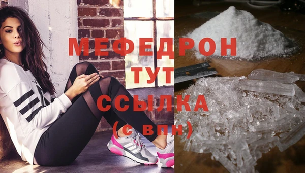 сатива Новодвинск