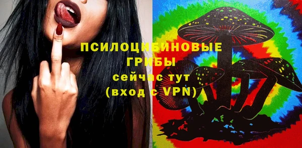 скорость Няндома
