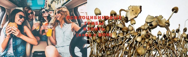 скорость Няндома
