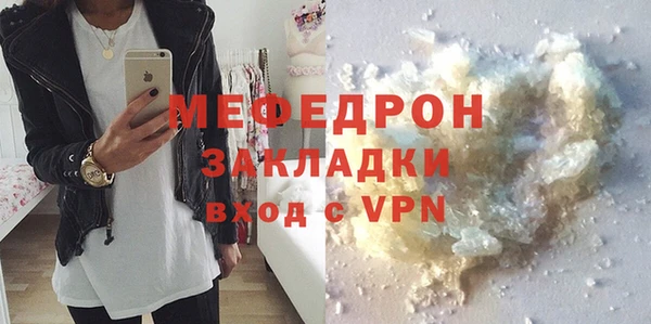 сатива Новодвинск