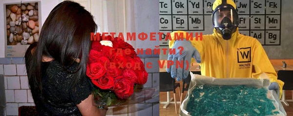 сатива Новодвинск