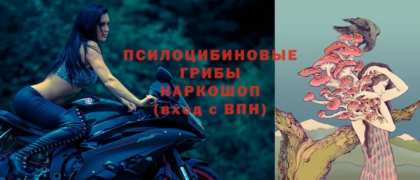 сатива Новодвинск