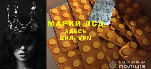 сатива Новодвинск