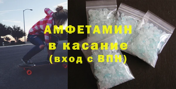 сатива Новодвинск